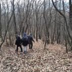 Macska-barlang Csobánka - Egyéb