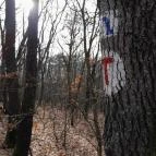 Macska-barlang Csobánka - Egyéb