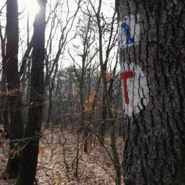 Macska-barlang, Csobánka - Egyéb