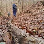 Macska-barlang Csobánka - Egyéb