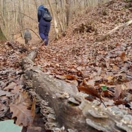 Macska-barlang, Csobánka - Egyéb