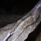 Macska-barlang Csobánka - Egyéb