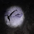 Macska-barlang Csobánka - Egyéb