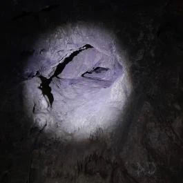 Macska-barlang, Csobánka - Egyéb