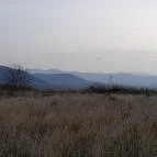 Macska-barlang Csobánka - Egyéb