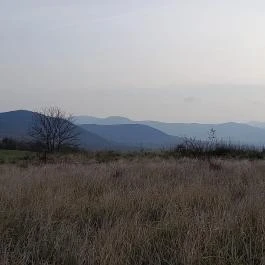 Macska-barlang, Csobánka - Egyéb