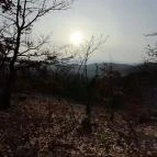 Macska-barlang Csobánka - Egyéb