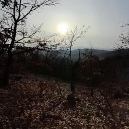 Macska-barlang, Csobánka - Egyéb