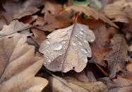 Macska-barlang Csobánka