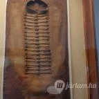 Magyar Természettudományi Múzeum Mátra Múzeuma Gyöngyös - Belső