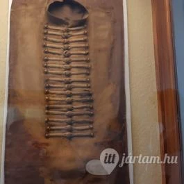 Magyar Természettudományi Múzeum Mátra Múzeuma, Gyöngyös - Belső