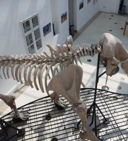 Magyar Természettudományi Múzeum Mátra Múzeuma