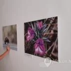 Magyar Természettudományi Múzeum Mátra Múzeuma Gyöngyös - Belső