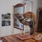 Magyar Természettudományi Múzeum Mátra Múzeuma Gyöngyös - Belső