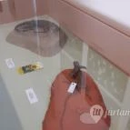 Magyar Természettudományi Múzeum Mátra Múzeuma Gyöngyös - Belső