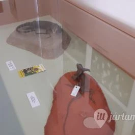 Magyar Természettudományi Múzeum Mátra Múzeuma, Gyöngyös - Belső