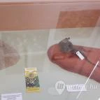 Magyar Természettudományi Múzeum Mátra Múzeuma Gyöngyös - Belső