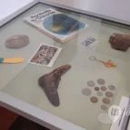 Magyar Természettudományi Múzeum Mátra Múzeuma Gyöngyös - Belső