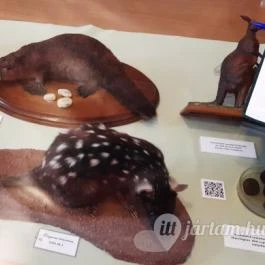 Magyar Természettudományi Múzeum Mátra Múzeuma, Gyöngyös - Belső