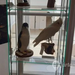 Magyar Természettudományi Múzeum Mátra Múzeuma, Gyöngyös - Belső