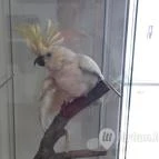 Magyar Természettudományi Múzeum Mátra Múzeuma Gyöngyös - Belső