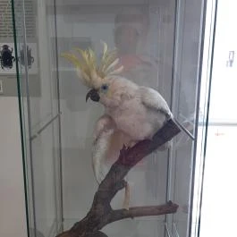 Magyar Természettudományi Múzeum Mátra Múzeuma, Gyöngyös - Belső