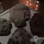 Magyar Természettudományi Múzeum Mátra Múzeuma Gyöngyös - Belső