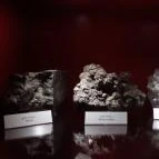 Magyar Természettudományi Múzeum Mátra Múzeuma Gyöngyös - Belső