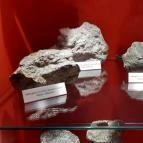 Magyar Természettudományi Múzeum Mátra Múzeuma Gyöngyös - Belső