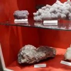 Magyar Természettudományi Múzeum Mátra Múzeuma Gyöngyös - Belső