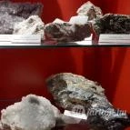 Magyar Természettudományi Múzeum Mátra Múzeuma Gyöngyös - Belső