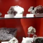 Magyar Természettudományi Múzeum Mátra Múzeuma Gyöngyös - Belső