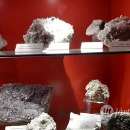 Magyar Természettudományi Múzeum Mátra Múzeuma, Gyöngyös - Belső