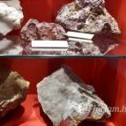 Magyar Természettudományi Múzeum Mátra Múzeuma Gyöngyös - Belső