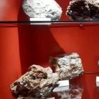 Magyar Természettudományi Múzeum Mátra Múzeuma Gyöngyös - Belső