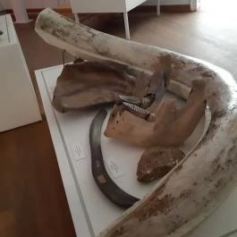 Magyar Természettudományi Múzeum Mátra Múzeuma, Gyöngyös - Belső