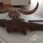 Magyar Természettudományi Múzeum Mátra Múzeuma Gyöngyös - Belső