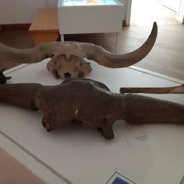 Magyar Természettudományi Múzeum Mátra Múzeuma, Gyöngyös - Belső