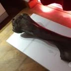 Magyar Természettudományi Múzeum Mátra Múzeuma Gyöngyös - Belső