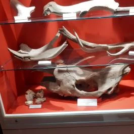 Magyar Természettudományi Múzeum Mátra Múzeuma, Gyöngyös - Belső