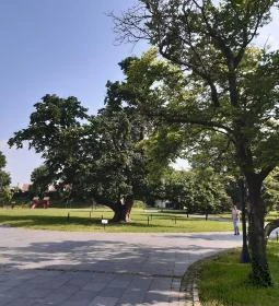 Magyar Természettudományi Múzeum Mátra Múzeuma