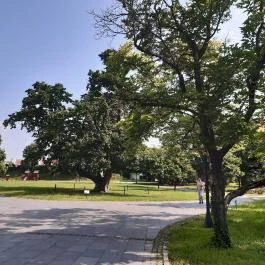 Magyar Természettudományi Múzeum Mátra Múzeuma, Gyöngyös - Külső kép