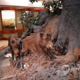 Magyar Természettudományi Múzeum Mátra Múzeuma, Gyöngyös - Belső