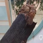 Magyar Természettudományi Múzeum Mátra Múzeuma Gyöngyös - Belső