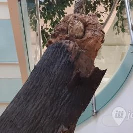 Magyar Természettudományi Múzeum Mátra Múzeuma, Gyöngyös - Belső