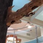 Magyar Természettudományi Múzeum Mátra Múzeuma Gyöngyös - Belső