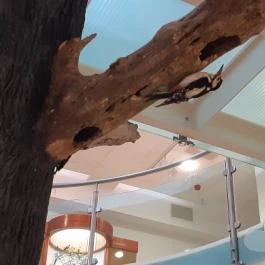 Magyar Természettudományi Múzeum Mátra Múzeuma, Gyöngyös - Belső