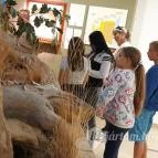 Magyar Természettudományi Múzeum Mátra Múzeuma Gyöngyös - Belső