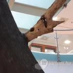 Magyar Természettudományi Múzeum Mátra Múzeuma Gyöngyös - Belső