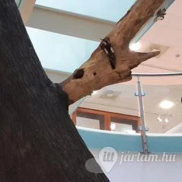 Magyar Természettudományi Múzeum Mátra Múzeuma, Gyöngyös - Belső